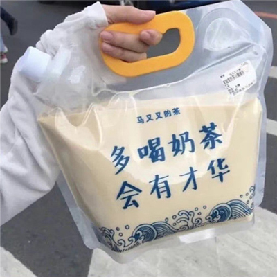 猫咪宠物知识